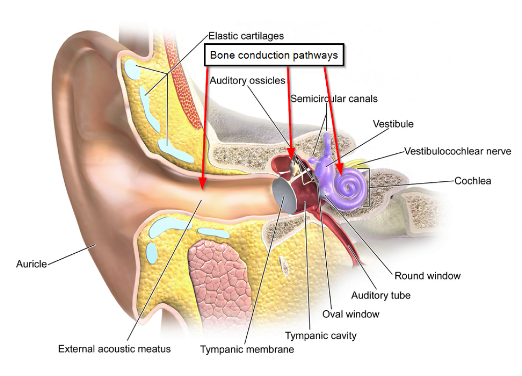Hearing via bone conduction